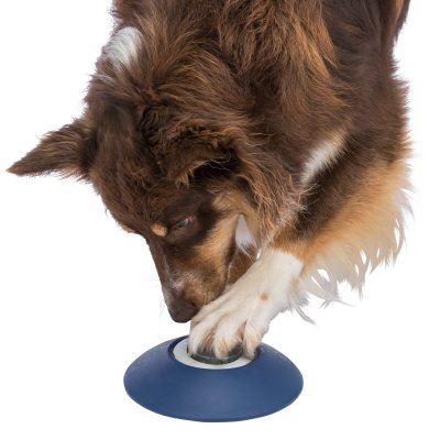 Zoom bild av hundspel hundpussel hundaktivering aktiveringsleksak hund hundleksak plast knapp automatisk klickerträning hundträning leksak vi