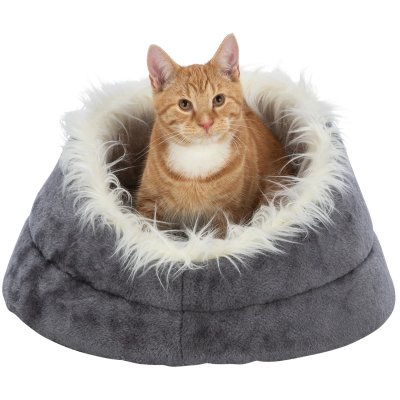 Zoom bild av hundbädd kattbädd