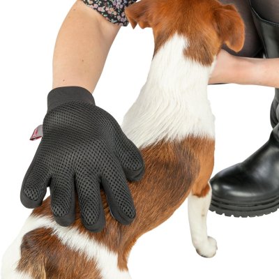 pälsvårdshandske borsthandske borstvante pälsvante pälsvård kamma massage massera hund borste borst blå mesh handske kardborreba
