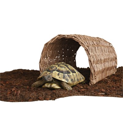 Zoom bild av pilbro bro pilträ gnagbro gnagare smådjur naturlig stimulerande miljö gömställe bro lek trygghet flexibel marsvin chinchilla kan