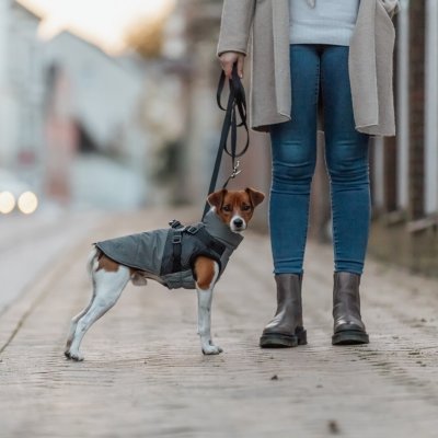 Zoom bild av hundtäcke fodrat vadderat reflextäcke reflex helreflex täcke med sele inbyggd sele reflex grå trixie pontis småhundar mellanstor