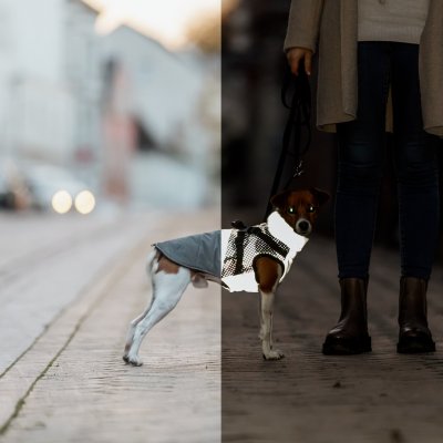 Zoom bild av hundtäcke fodrat vadderat reflextäcke reflex helreflex täcke med sele inbyggd sele reflex grå trixie pontis småhundar mellanstor