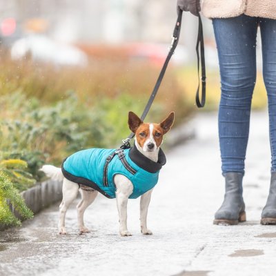 Zoom bild av hundtäcke hundjacka inbyggd sele vadderad höstjacka vinterjacka hundväst turkos blå aqua svart reflex