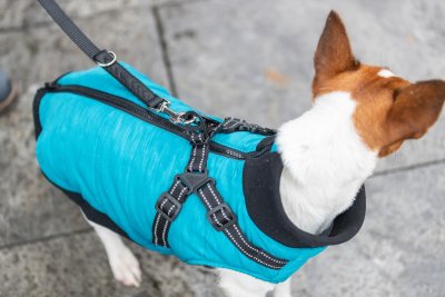 Zoom bild av hundtäcke hundjacka inbyggd sele vadderad höstjacka vinterjacka hundväst turkos blå aqua svart reflex