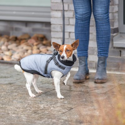 Zoom bild av hundtäcke hundjacka inbyggd sele vadderad höstjacka vinterjacka hundväst grå svart reflex