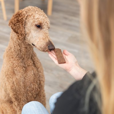 Zoom bild av premio hundgodis hundsnacks filets lamm lammfilé lammkött 93% hög kötthalt trixie