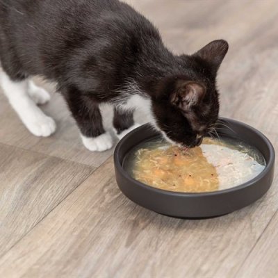 Zoom bild av kattsoppa soppa för katter med fisk räkor kyckling konservburk flytande snacks kattgodis