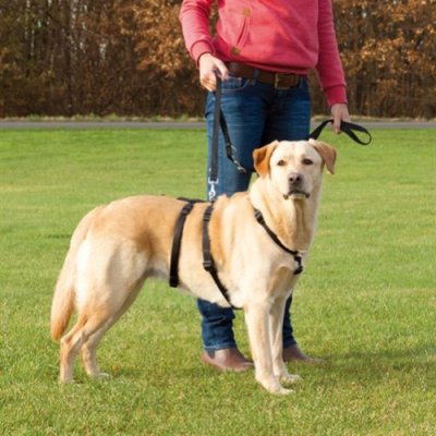 Zoom bild av rymningssäker sele midjerem paniksele backsele inte kan backa ur svart nylon neopren