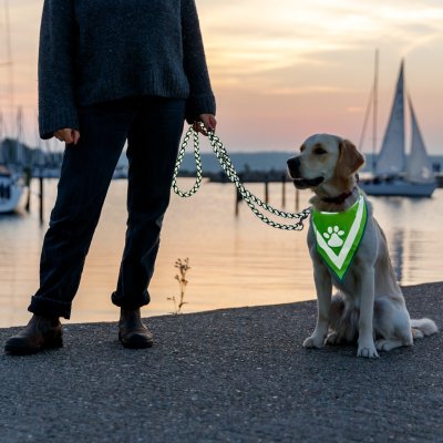 Zoom bild av säkerhetsscarf reflexscarf bandana reflex säkerhet tass gul neongul polyester trixie triangel