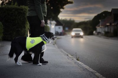 Zoom bild av Säkerhetsväst gul med reflextass, flera storlekar