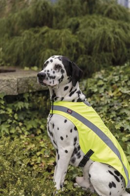 Zoom bild av Säkerhetsväst reflex, gul