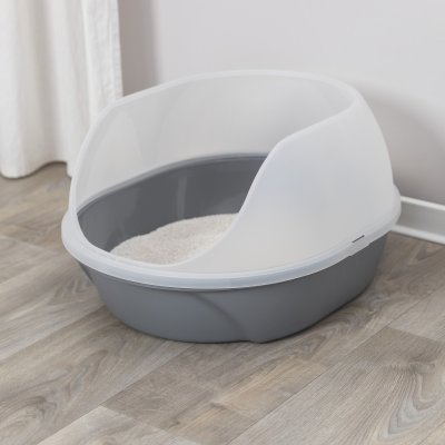 Zoom bild av kattlåda kattoalett