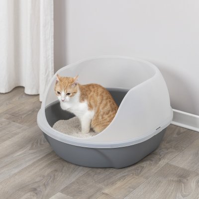 Zoom bild av kattlåda kattoalett