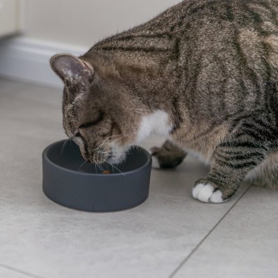 Zoom bild av trixie skål keramik vit svart 0,15 liter 12 cm stabil liten stilren kattskål kattmatskål passar även små hundar och smådjur komp