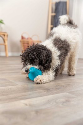 Zoom bild av hundleksak aktiveringsleksak hundaktivering godisgömma snacksgömma blå naturgummi hund