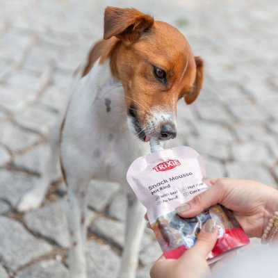 Zoom bild av trixie Snack Mousse med beef, 200 g krämig belöning med 59% kött perfekt vid träning och medicinering hundgodis hundsnacks belön