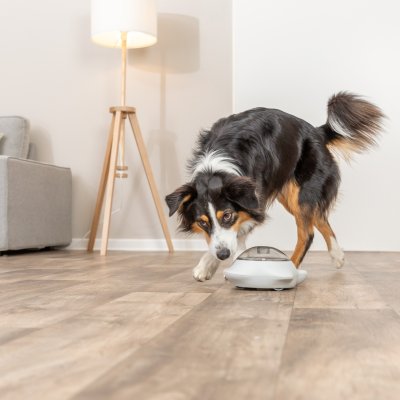 Zoom bild av trixie snack popper grå vit interaktiv godisleksak för hund aktiverar aktiveringsleksak aktivering kombinerar lek och belöning i