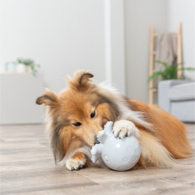 Zoom bild av Trixie Snacksbläckfisk, TPR, 11 cm ljusgrå grå vit gummi godisgömma aktiveringsleksak hund hundleksak