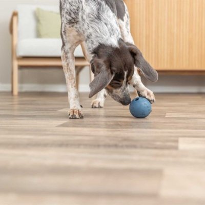 Zoom bild av Trixie Snacksboll gummilabyrint, blandade färger naturgummi grön blå grå vit hundleksak