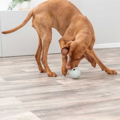 Zoom bild av Trixie Snacksboll gummilabyrint, blandade färger naturgummi grön blå grå vit hundleksak