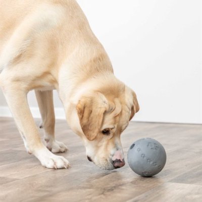 Zoom bild av Trixie Snacksboll gummilabyrint, blandade färger naturgummi grön blå grå vit hundleksak