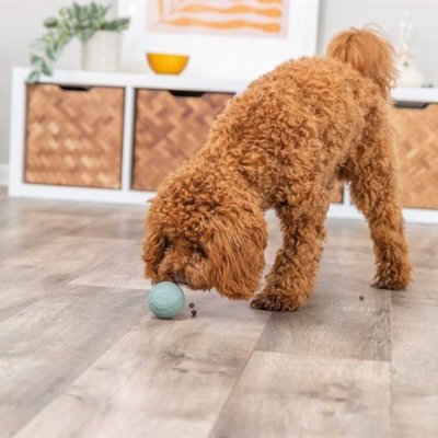 Zoom bild av Trixie Snacksboll gummilabyrint, blandade färger naturgummi grön blå grå vit hundleksak