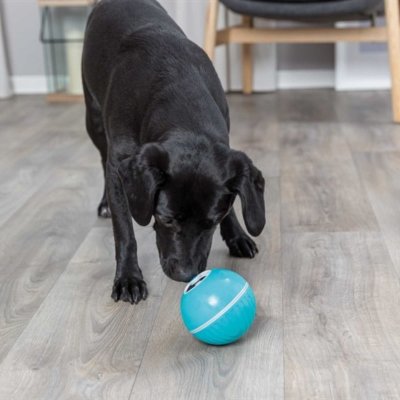 Zoom bild av Trixie Snacksboll, plast blå turkos, två storlekar 7,5 cm 14 cm hundleksak aktivering