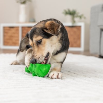 Zoom bild av snackskrokodil godisgömma grön gummi naturgummi hundleksak trixie gömma godis aktivering aktiveringsleksak krokodil rolig