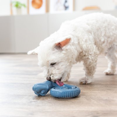 Zoom bild av Trixie Snacksorm hopringlad, TPR, ø 18 cm hundleksak godisgömma aktiveringsleksak aktivering hund blå gummi