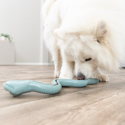 Zoom bild av Trixie Snacksorm, TPR, 42 cm turkos grön aqua hundleksak godisgömma snacksleksak aktiveringsleksak hund ny färg