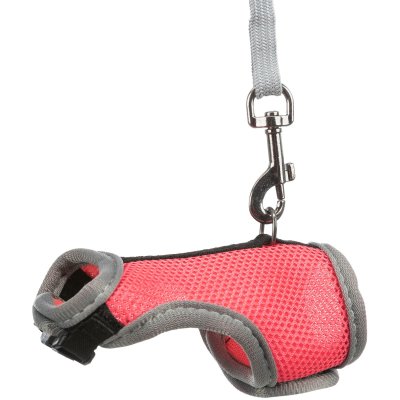 Zoom bild av sele koppel set råtta blå röd grön trixie mesh