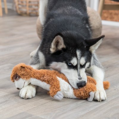 Zoom bild av hundleksak surikat mjukdjur gosdjur plyschleksak med pip mjuk plysch fylld för hund brun beige grå trixie