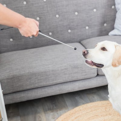 Zoom bild av klicker hundträning träna hund clicker klickerträning hund katt husdjursträning band snabbclip orange svart röd petrol trixie pl