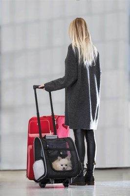 Zoom bild av Transportväska ryggsäck Elegance på hjul, svartgrå