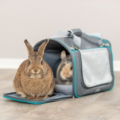 Zoom bild av Trixie Transportväska Vicky, 40 × 27 × 28 cm, grå turkos hundväska kattväska kaninväska tygbur transportbur hund katt kanin småd