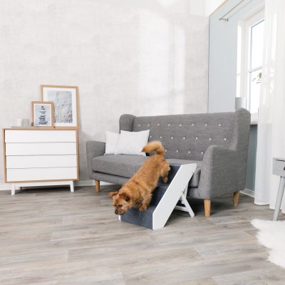 Zoom bild av hundtrappa kattrappa trappa hund katt husdjur ledproblem ryggproblem ont i ryggen gammal hund liten hund sjukdom trappa vit trä