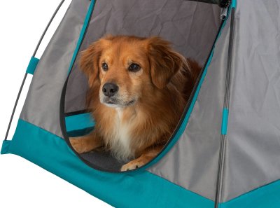 Hundtält, 80 × 63 × 65 cm mörkgrå/petrol