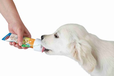 Zoom bild av tubdispenser munstycke patetub leverpastej pastej hundgodis flytande tub vit plast trixie