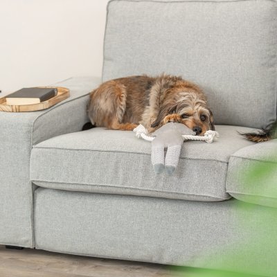 Zoom bild av hundleksak mjukdjur gosdjur tvättbjörn grå med rep stadig robust leksak tyg plysch hållbar trixie raccoon
