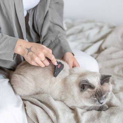 Zoom bild av trimkarda ullkniv underull tovutredning urtunning halkfritt handtag bytbart skär karda rosa trixie katt hund