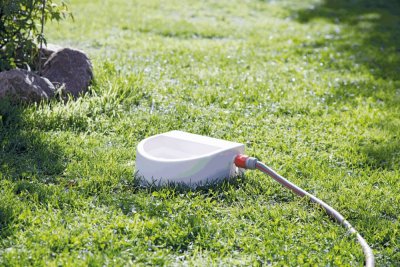 Zoom bild av Vattenautomat för trädgårdsslang, 1,5 l/24 × 10 × 23 cm, vit