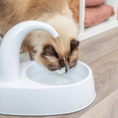 Zoom bild av vattenfontän trixie curved för katt liten hund cirkulerande vatten automatisk tystgående fontän husdjur fräscht rinnande vatten