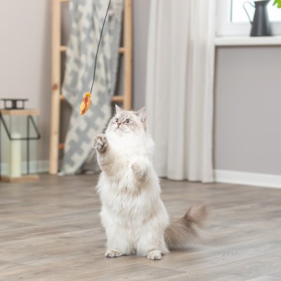 Zoom bild av kattvippa kattspö vippa kattleksak fisk pinne plast gul orange svart trixie