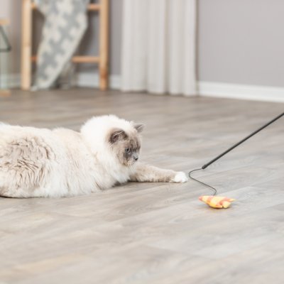 Zoom bild av kattvippa kattspö vippa kattleksak fisk pinne plast gul orange svart trixie