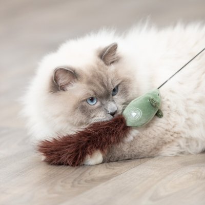 Zoom bild av kattvippa kattspö vippa kattleksak mus svans rolig katt grön brun fluff trixie