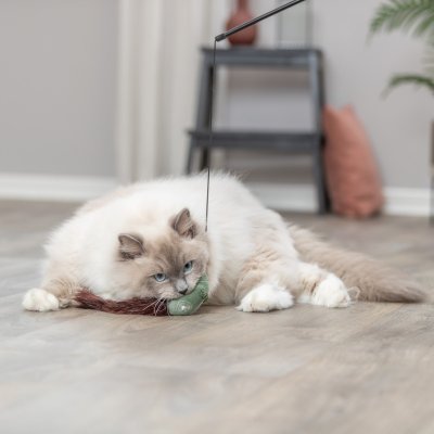 Zoom bild av kattvippa kattspö vippa kattleksak mus svans rolig katt grön brun fluff trixie