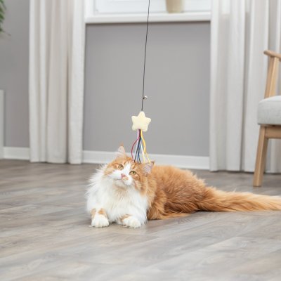 Zoom bild av kattvippa kattleksak vippa kattspö stjärna bjällra rolig katt lek gul svart plast trixie