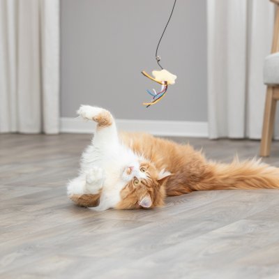 Zoom bild av kattvippa kattleksak vippa kattspö stjärna bjällra rolig katt lek gul svart plast trixie