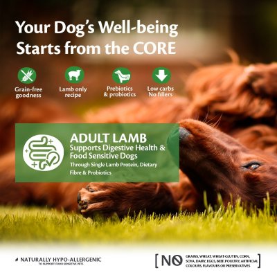 Zoom bild av CORE Adult Lamb All Breeds