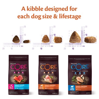 Zoom bild av CORE Adult Original Large Breed Chicken